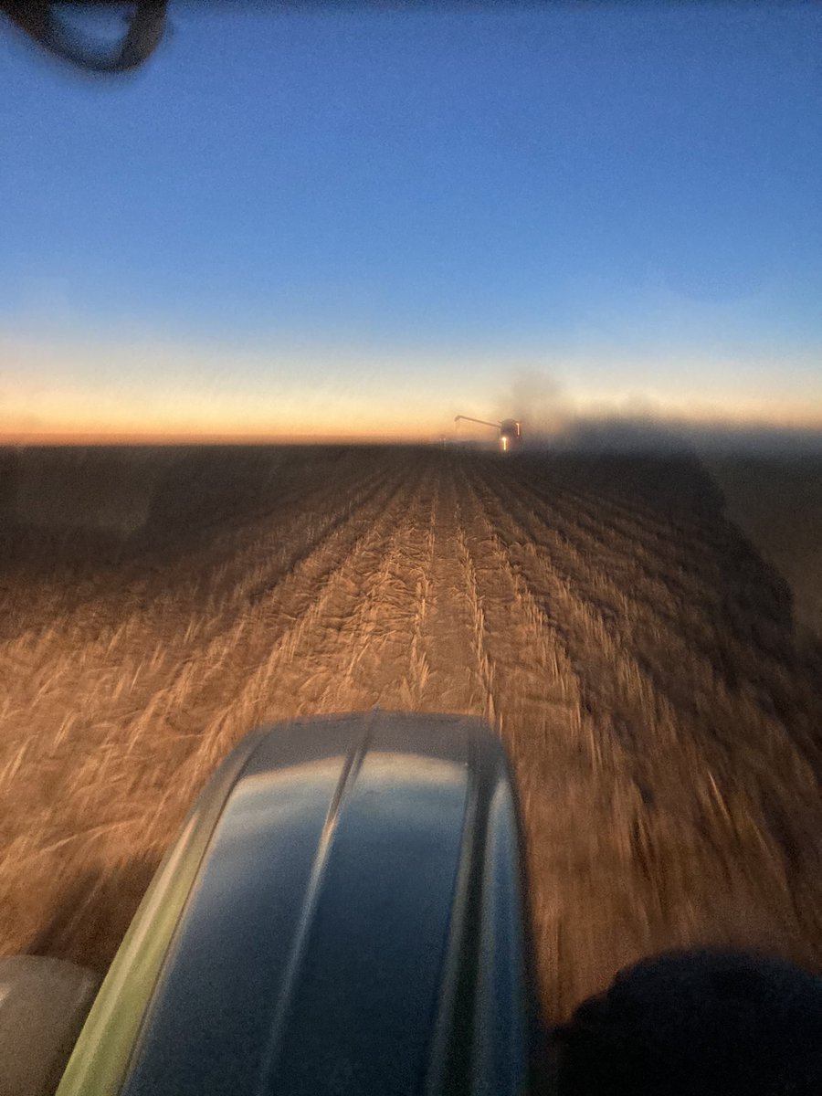 Brad Heil (@heilharvesting) on Twitter photo 