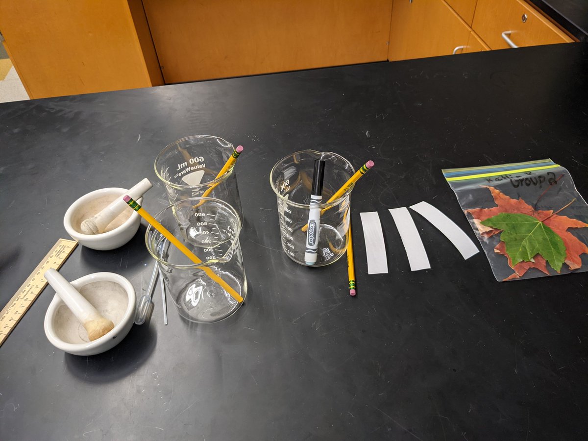 nwillwerthHHS's tweet photo. According to my records, the last time I did a lab in my classroom with students was February 4th, 2020. After approximately 616 days, lab day is returning tomorrow! I can't wait to actually see my students do science! #hilliesengaged #chromatography https://t.co/W6DCPZU6Mm