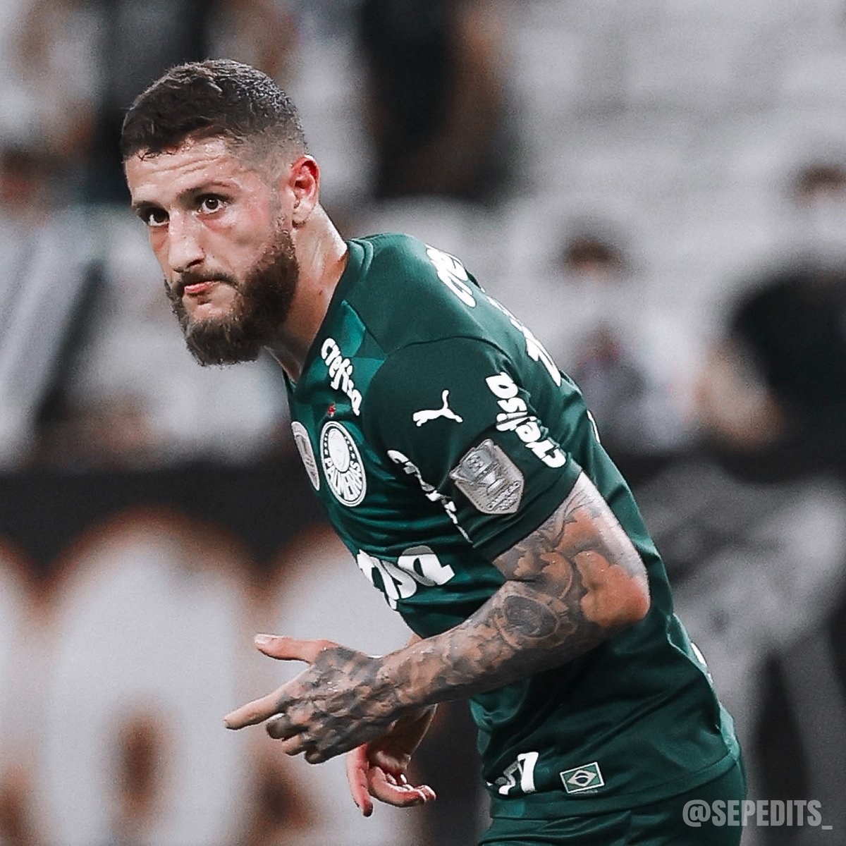 SepEdits_'s tweet image. Icons - Zé Rafael 🚂
[ Palmeiras 2 x 1 Ceará ]