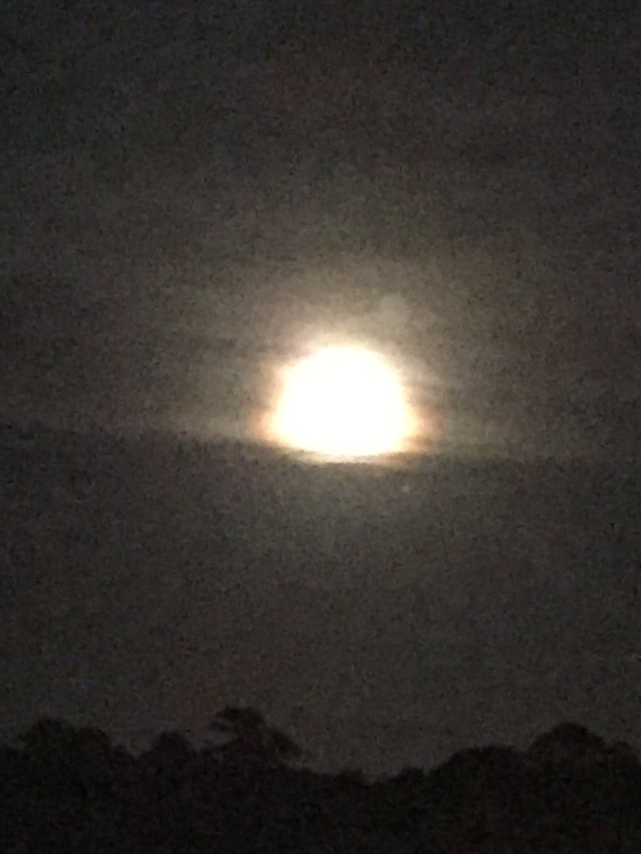 justinwhitmore2's tweet photo. The full shiny moon is closed to my new house #FullMoon #FullShinyMoon #ShinyMoon #LetsDrink https://t.co/yS26lc3ZIB