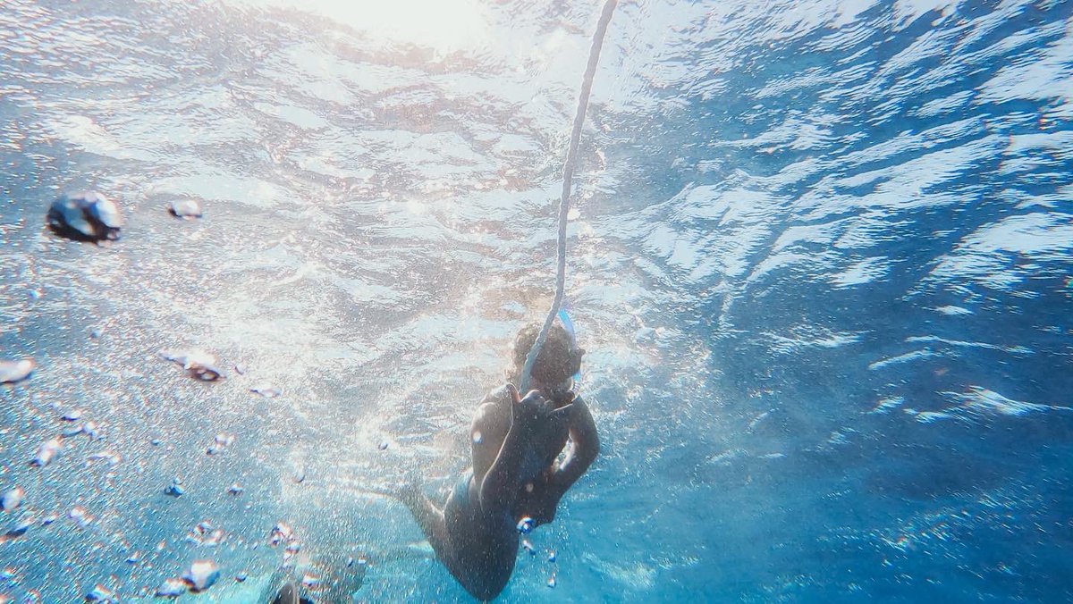 allisonb1245's tweet photo. shark diving: the adventure of a lifetime https://t.co/CyWVvcIJET