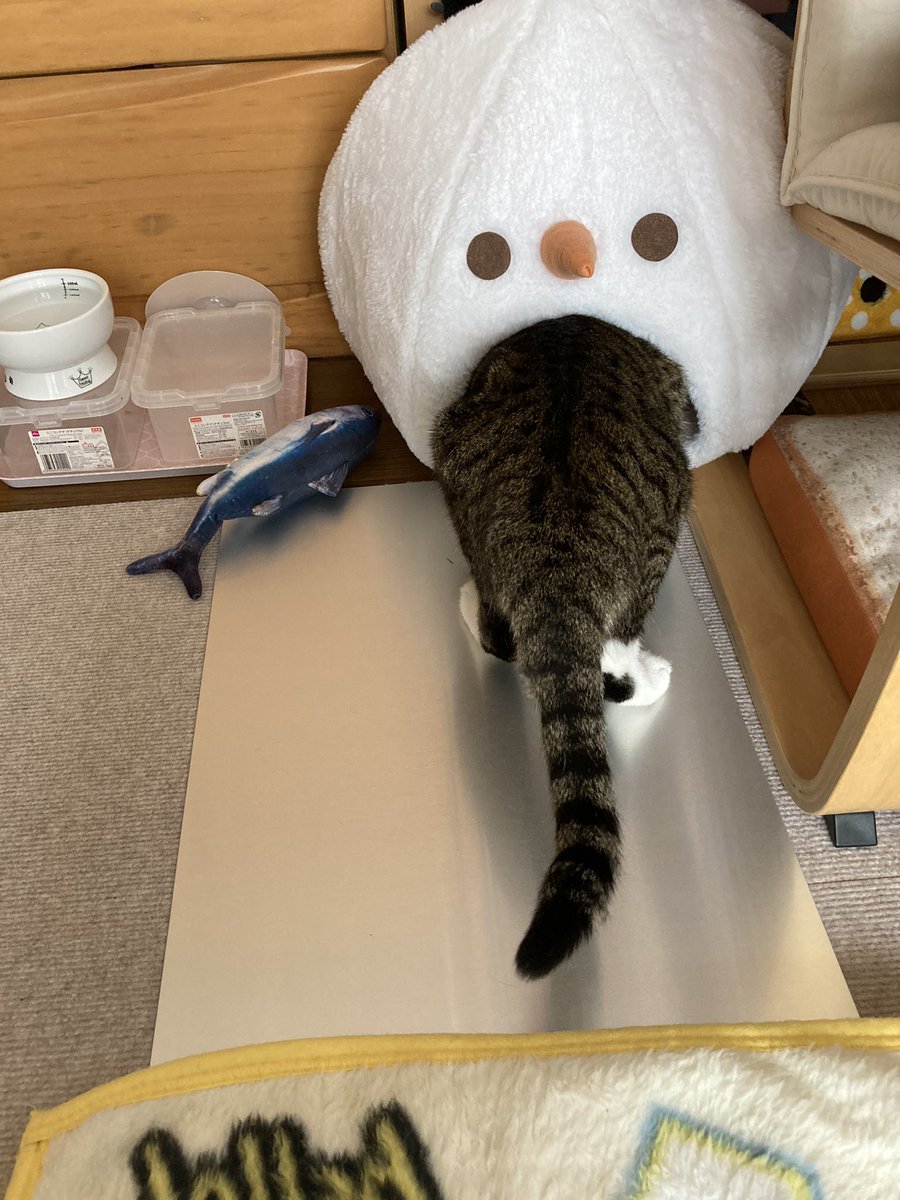 Home LogoGala Recent Activity tjwy, berug, nw, oir, uwulx, ig, ukzjo