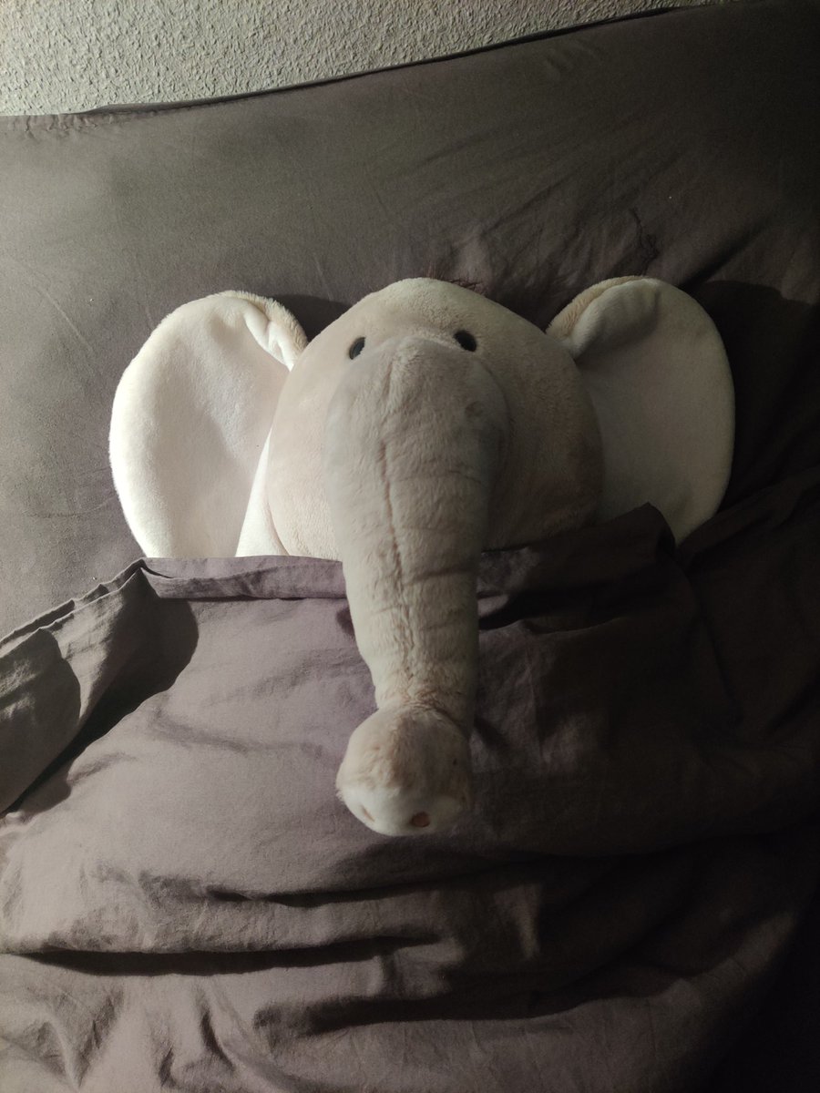 pergande tweet media