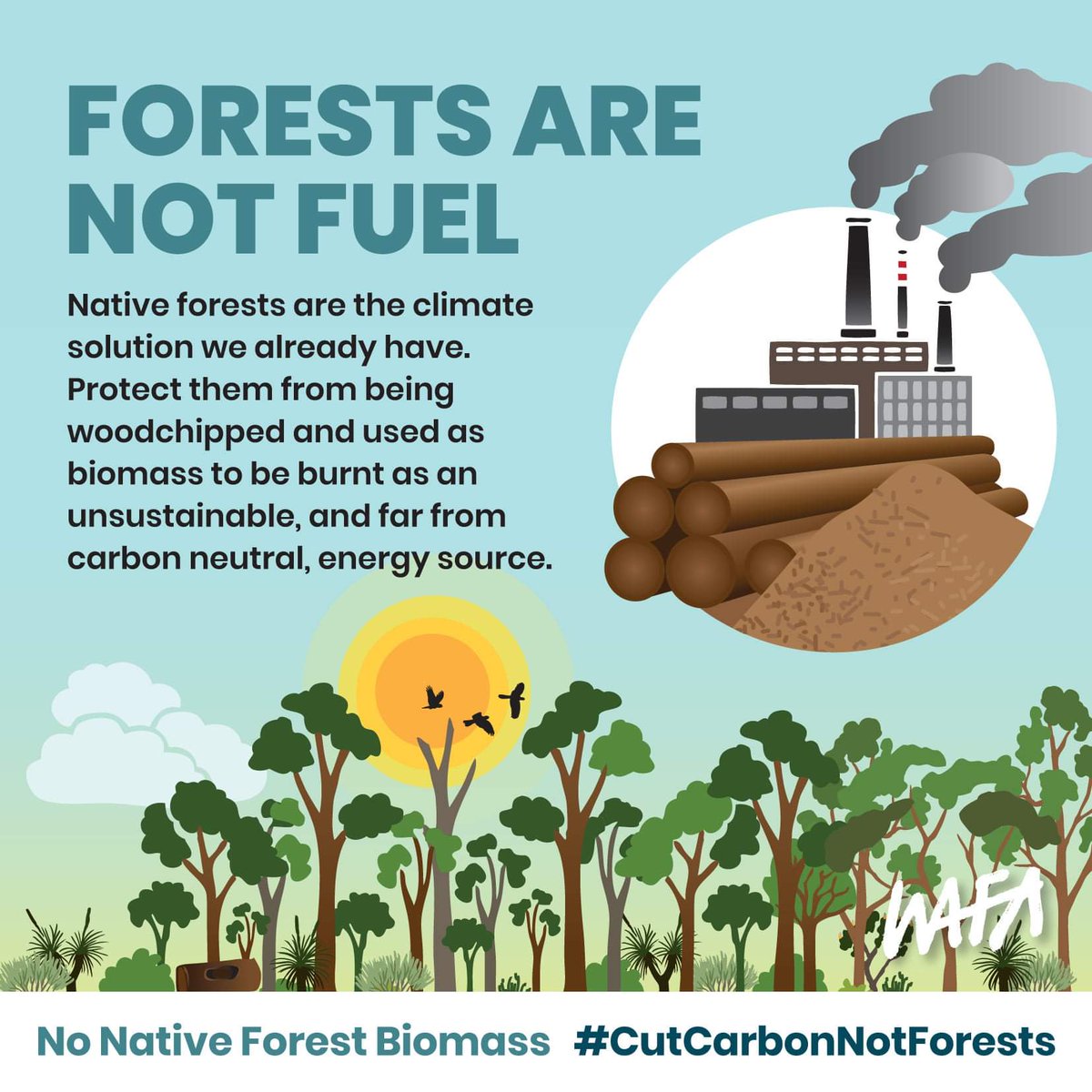 #BigBadBiomass 

Cutting down forests to burn for energy is not renewable, green or a climate solution. It's a climate disaster.
