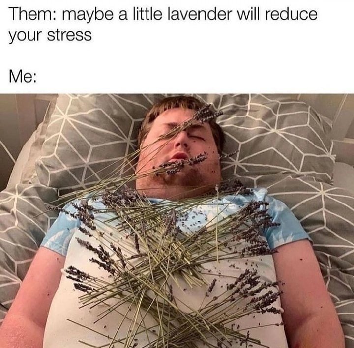 And how does that make you feel? tweet media