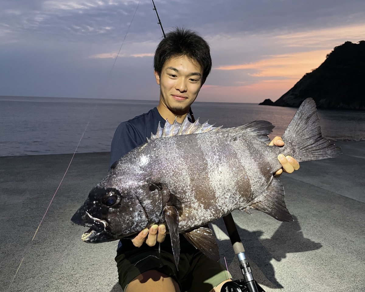 תג コロダイ בטוויטר