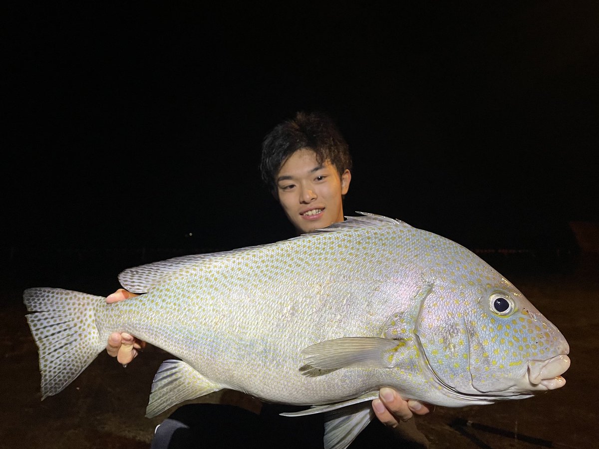 תג コロダイ בטוויטר