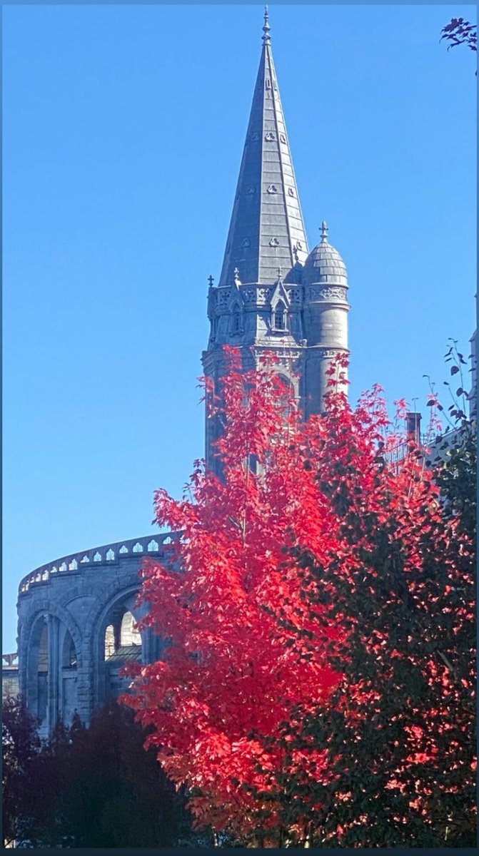 CisomSalerno's tweet photo. @LourdesMedicale @a_defranciscis @TourismeLourdes @TravelVida @NatureVSCO @VisiteFrance @othingstodo @tourisme_vert_ @frenchvisuals @lourdes_france @FranceCatho @NatGeoTravel https://t.co/R19GPIVrx6