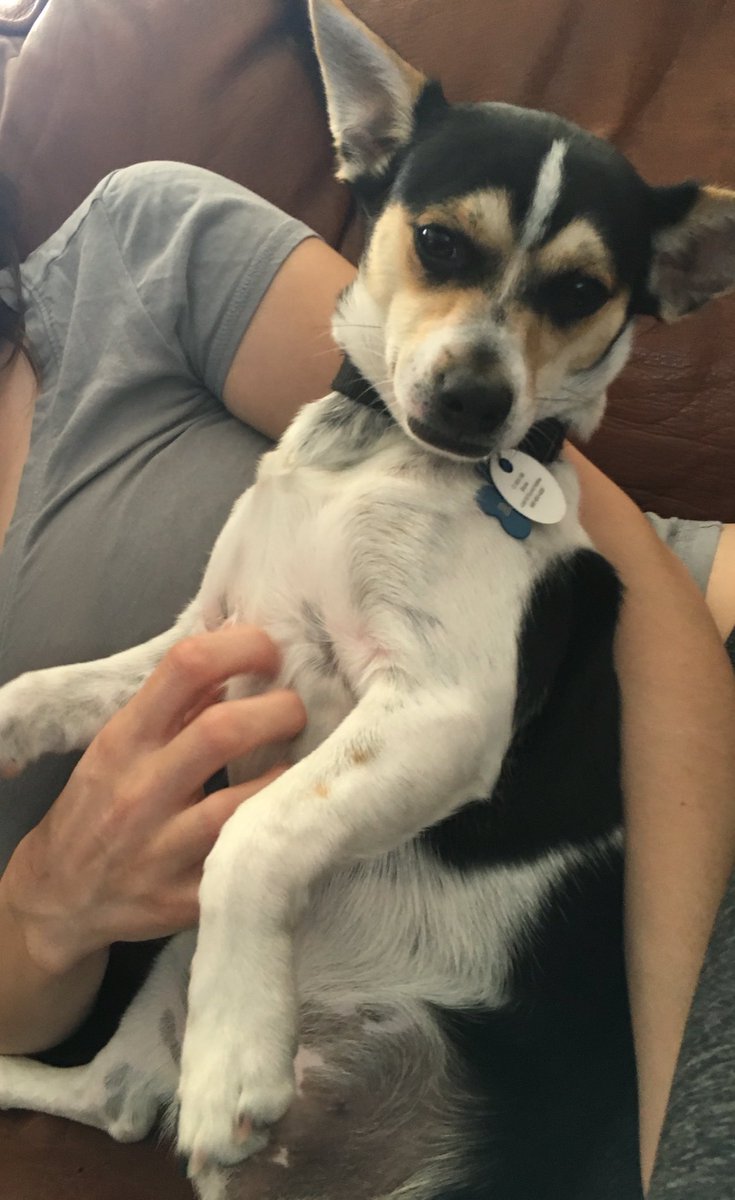 I was told to go to my happy place today. My happy place died 2/16/21 💔