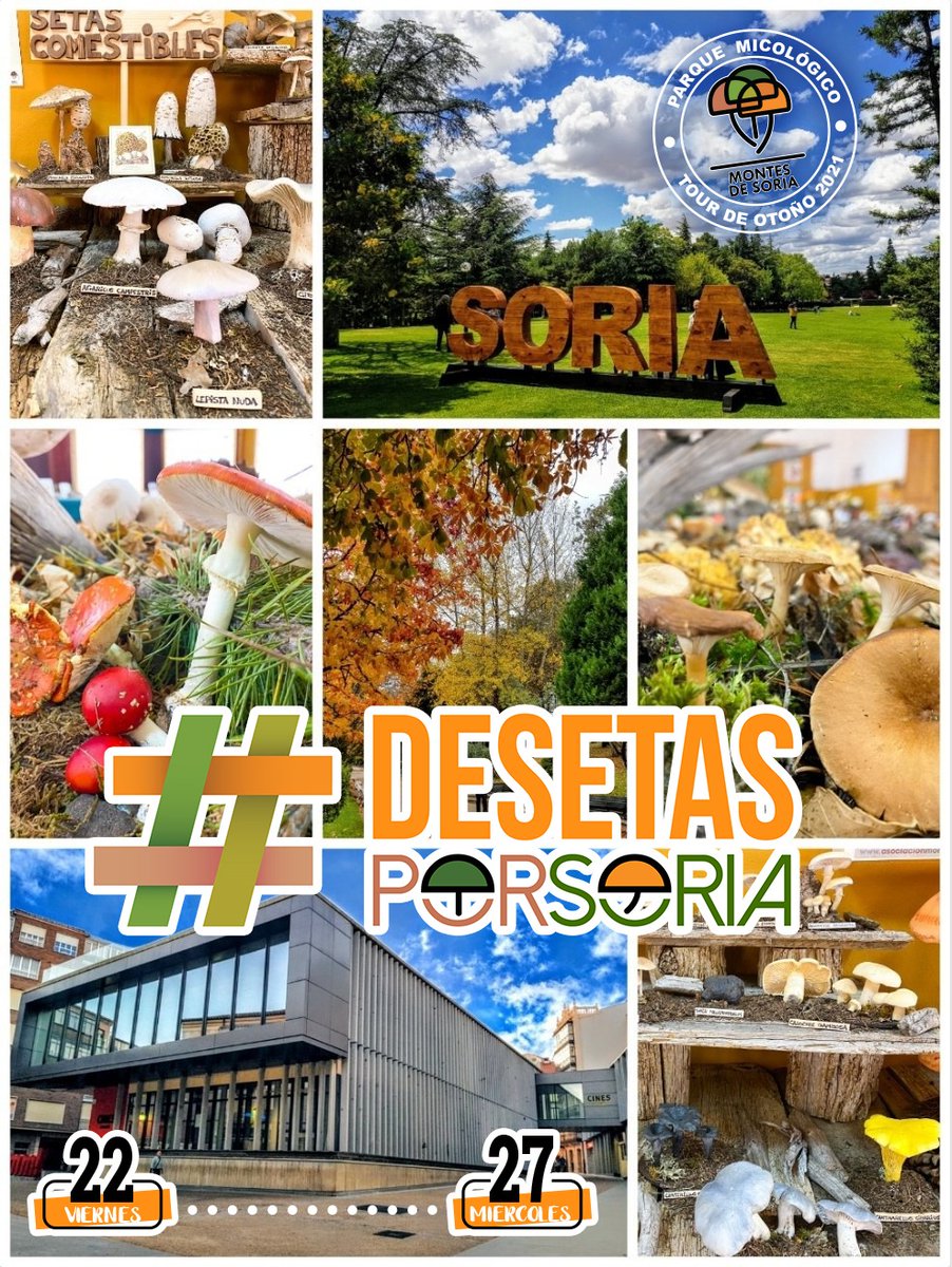 Soria está de moda tweet media