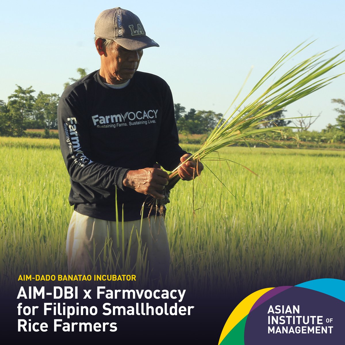 aimdbi's tweet photo. AIM-DBI supports startups like Farmvocacy, an inclusive business that enables rice farmers to earn a fair wage and provide consumers safer and more convenient way to buy rice.

Learn more about #AIMDBI, visit our website at https://t.co/7PMwxtzftf https://t.co/zASbkyOrpM