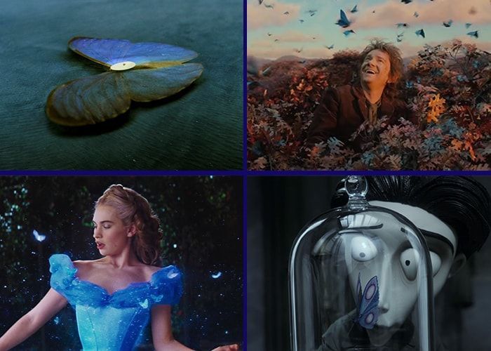 rejectnation's tweet photo. There are some good reasons we have warm feelings towards blue insects. Here's why movies love blue butterflies best: https://t.co/KAGuvMOTxt https://t.co/aRyXJ6RylU