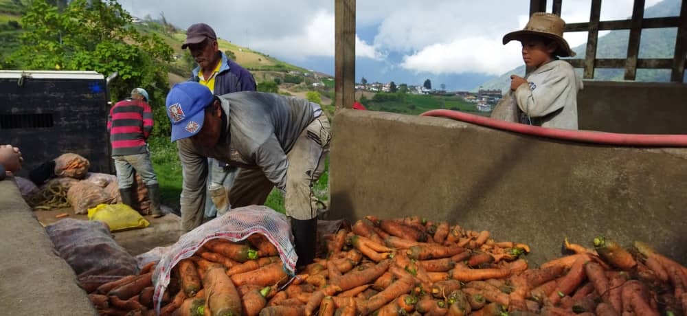 #PuebloQueProduceYVence
Si eso somos los venezolanos gente que hace una oportunidad dónde menos se cree, fuente que trabaja lucha y defiende a su país.
#CaracasEcológica
 foto tomada a gente que trabaja en el Páramo que vaina más bella carajo 
@ANDR3Z77
Cortesía de 👇
@LaBunkeB