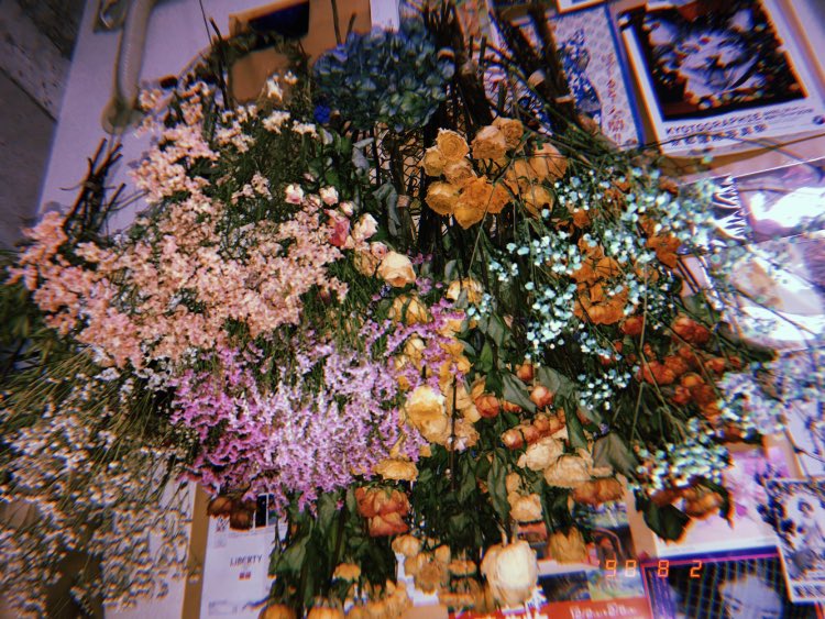 mixcreate07's tweet photo. 集めた殆どのドライフラワーが花屋さんで捨てられそうになってたお花たちです。一本一本綺麗に掃除してハンギングをしたのち商品として生まれ変わります。
なので新品の綺麗なドライとは違って風合いがノスタルジックですが、それはそれで良さがしっかり出てます👍 https://t.co/uR1dGOqwNn