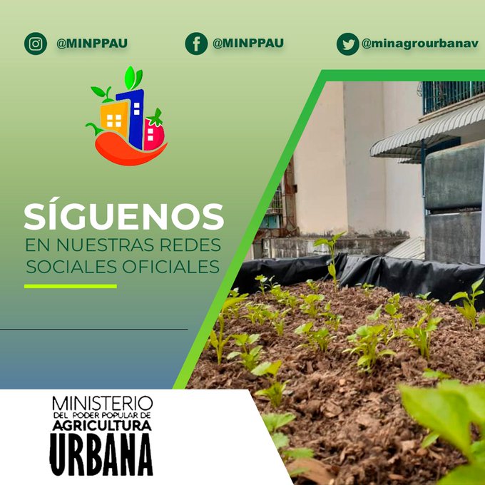 #20Octubre | Síguenos a través de las distintas plataformas digitales y mantente informado acerca de las actividades que impulsa el Ministerio del Poder Popular de Agricultura Urbana.

¡Únete a nuestra comunidad 2.0!.
#PuebloQueProduceYVence