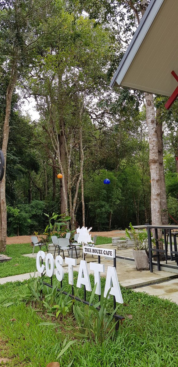 WoW_WeWorld's tweet photo. จากคาเฟ่วิวทิวป่า ริมถนนใหญ่  ไป คาเฟ่วิวเวิ้งน้ำ ข้างทะเลสาบเหนือเขื่อนใหญ่  ชิลลลกันไปได้เหมือนกัน  , #COSTATA ริมถนนแจ้งสนิท 20 กม.แถวท่าวารี ทางไป #เขื่องใน   #อุบลราชธานี https://t.co/n79gddxBCr