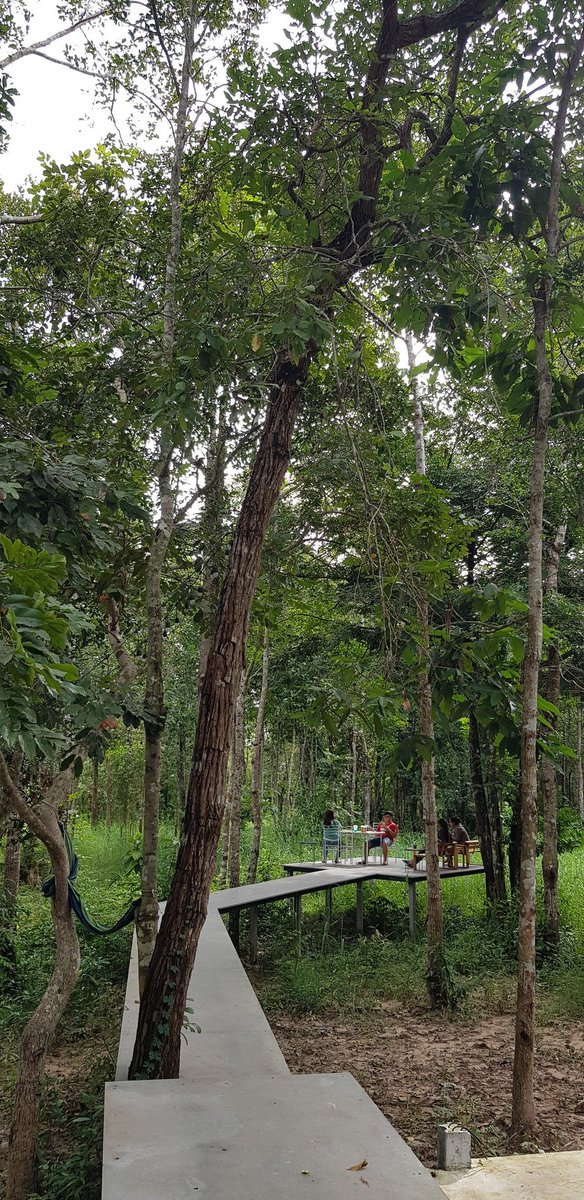 WoW_WeWorld's tweet photo. จากคาเฟ่วิวทิวป่า ริมถนนใหญ่  ไป คาเฟ่วิวเวิ้งน้ำ ข้างทะเลสาบเหนือเขื่อนใหญ่  ชิลลลกันไปได้เหมือนกัน  , #COSTATA ริมถนนแจ้งสนิท 20 กม.แถวท่าวารี ทางไป #เขื่องใน   #อุบลราชธานี https://t.co/n79gddxBCr