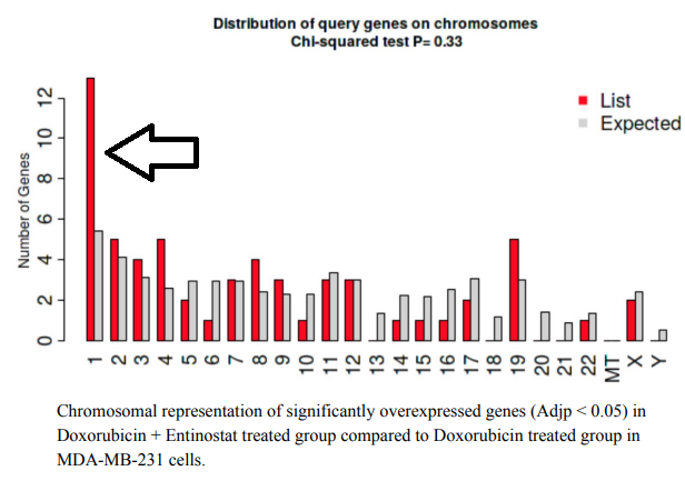 StevenXGe's tweet photo. Where are your differentially expressed genes on the genome? 

Our tool (ShinyGO https://t.co/e9hHjIZStr) was used to discover that Chr. 1q21.3 amplified, triple-negative breast tumors are more responsive to common cytotoxic therapies.  https://t.co/k3lYx8veQl https://t.co/ZF8aXRVF7t