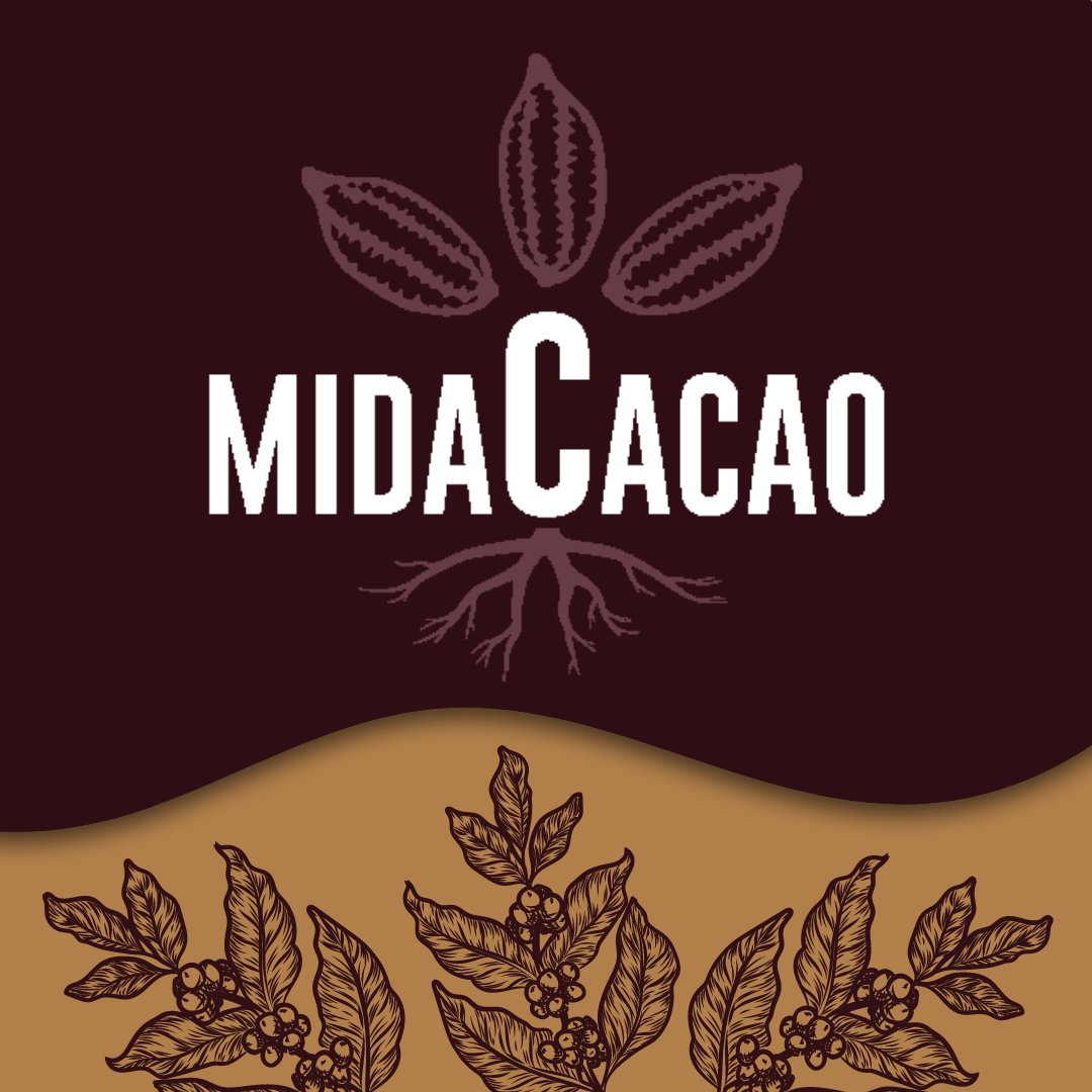 MidaCacao's tweet photo. #MidaCacao #Artesanal #Chocolate #Cacao #Natural #HechoEnMexico https://t.co/Gop6BX5uoj