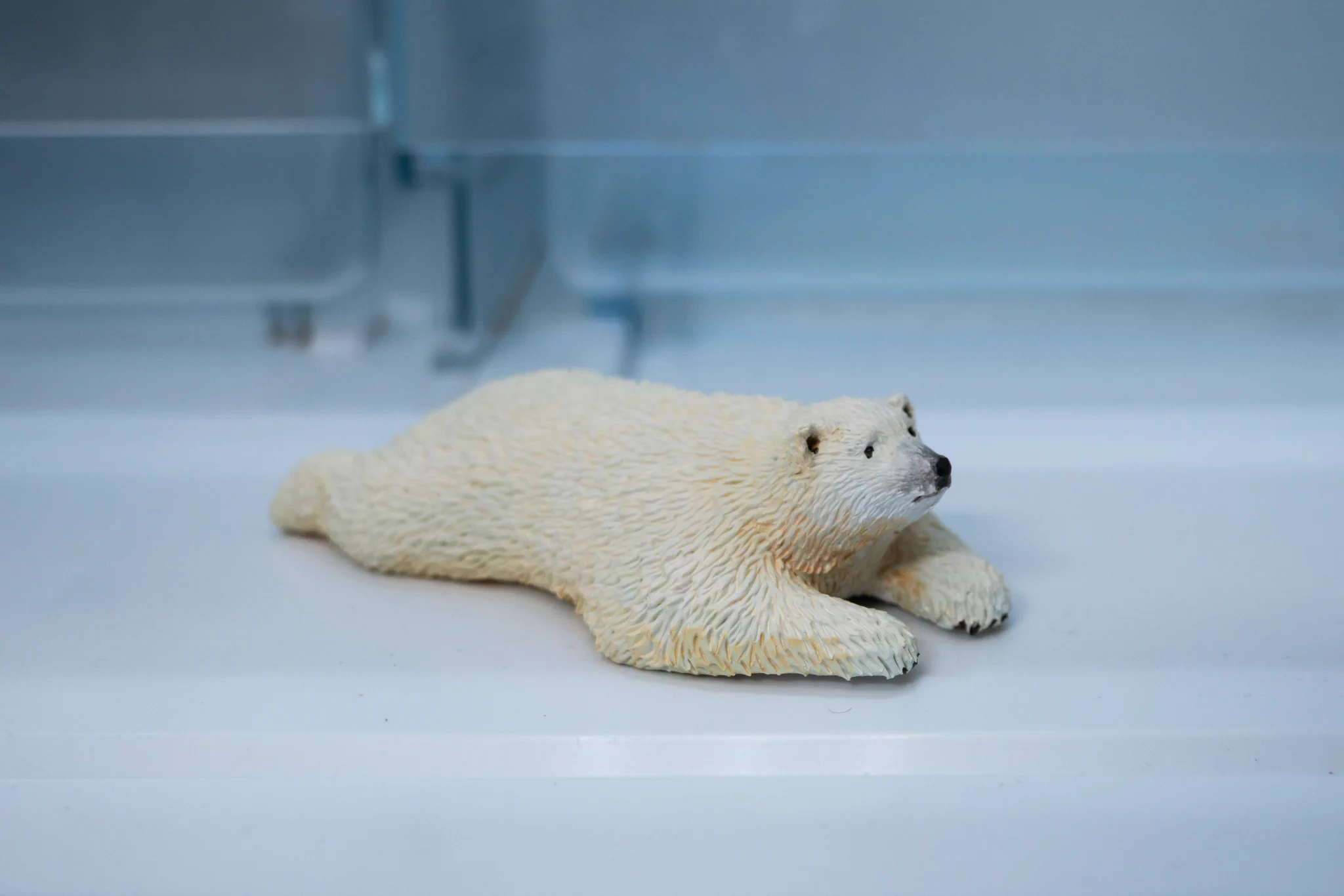 シロクマが住んでいる冷蔵庫