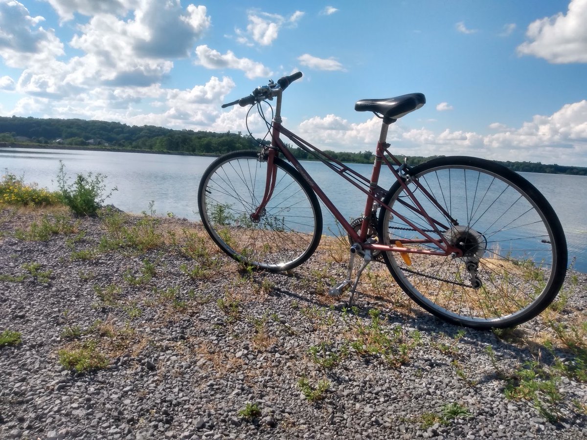 CarliFink's tweet photo. @devon_spier Camp Bongopix near Algonquin Park (if open and affordable), Fitz Hostel in Tobermory (if open and affordable), or Kingston, ON (if seeking to combine a little city life [like WiFi, maybe people] with accessible nature [like trees]; various accommodation options and prices). https://t.co/SdpVXGtIdP