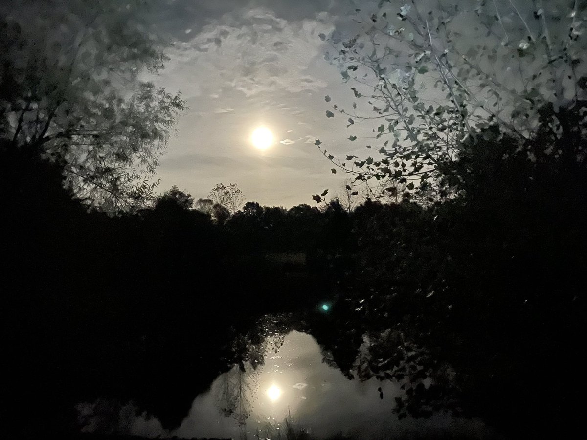 ShanaRwriter's tweet photo. Full moon on the rise #thepond #indianafall #HuntersMoon https://t.co/gdnHNCSwyV