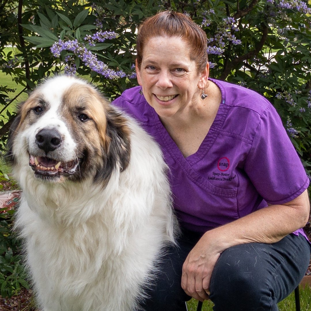 AmericanHumane's tweet photo. And the recipient of this year’s 2021 American Hero Veterinarian title is… Dr. Mary Kate Lawler! Thank you for being a champion of animal welfare and saving the lives of our furry best friends every day. #HeroDogAwards #HeroVetAwards @SNAPus https://t.co/RhciherTG3
