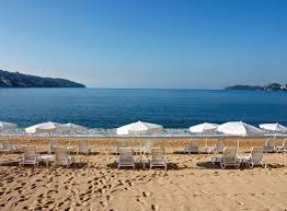 ExperienceTMX's tweet photo. FIN DE AÑO EN ACAPULCO?  
Reserva ya tu experiencia con nosotros!
Hoteles de playa, Casas, Departamentos, todo lo que necesites para cerrar el año 2021 en el mejor destino de playa en México. @FideturAcapulco @Sectur_Acapulco @SECTUR_mx https://t.co/KmmMFfpPEE