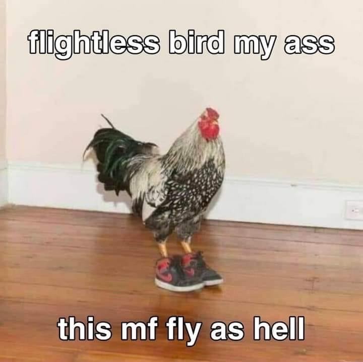 farha (@shutyourhell) on Twitter photo 