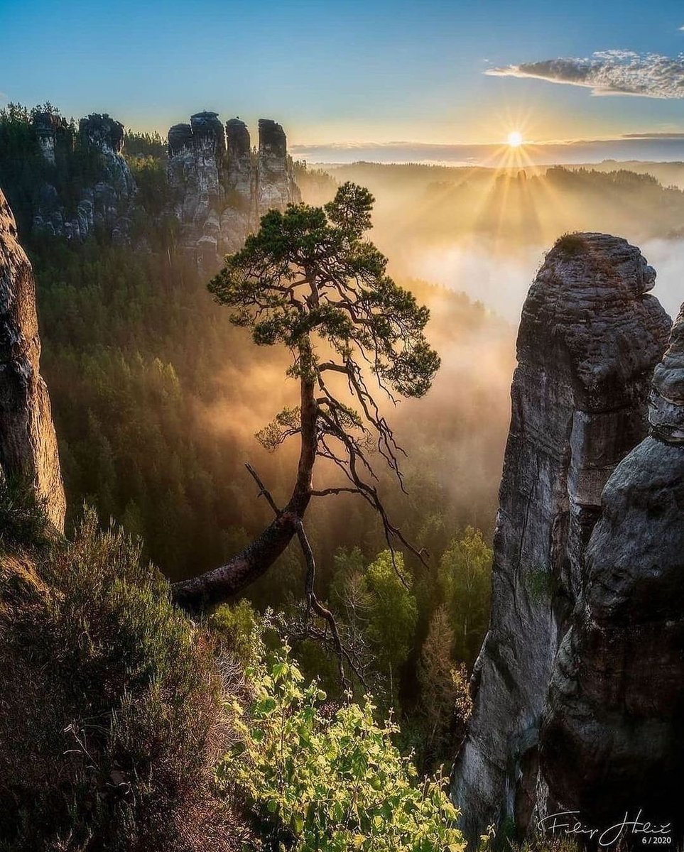 deepsoulnature's tweet photo. Good morning beautiful souls..💖 https://t.co/dHFU1hadej