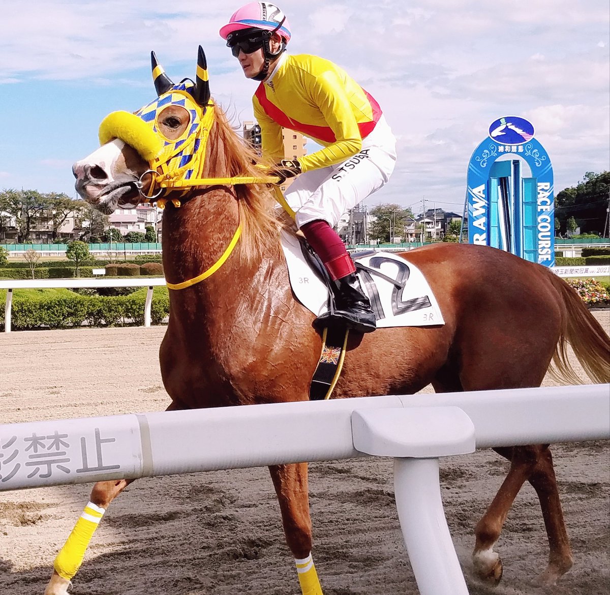 浦和6R
#コスモマナ
#オルフェーヴル産駒
#浦和競馬
大好きだったタニノミモザを思わせるコスモマナ君🐴💕
綺麗な尾花栗毛でした✨
