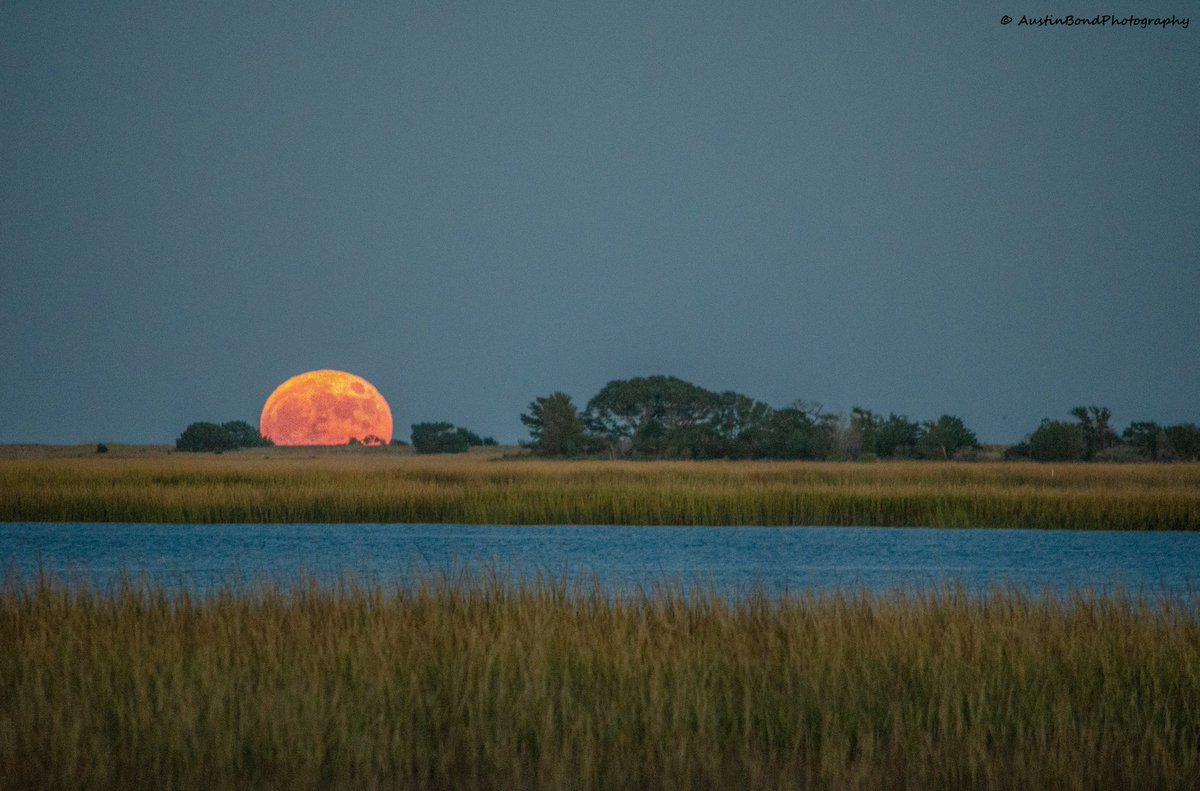 RobStormTeam2's tweet photo. The full moon rising this evening in Murrells Inlet over Huntington Beach State Park 📸 @MurrellsInletPh https://t.co/J46B9ae16K