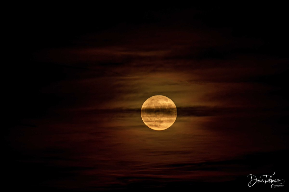 Schlitz's tweet photo. Tonight's Harvest Moon. We got off to a rocky start with a lot of clouds, but after a bit, the clouds thinned out and we were able to see the Harvest Moon.
#harvestmoon #fullmoon #SanAntonio #weatheroutyourwindow @ChrisSuchanWOAI @News4SA https://t.co/vtMu0qvYkD