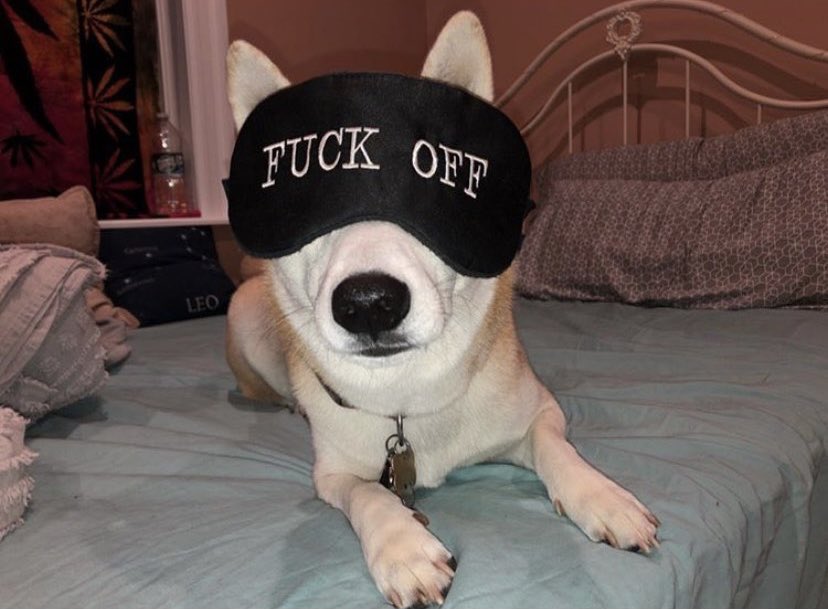 krcg07's tweet photo. HAPPY 8TH BIRTHDAY TO MY SON💚🥰🥺🐕 #DOGE #HANDSOMEST https://t.co/pZTkKSQeZl