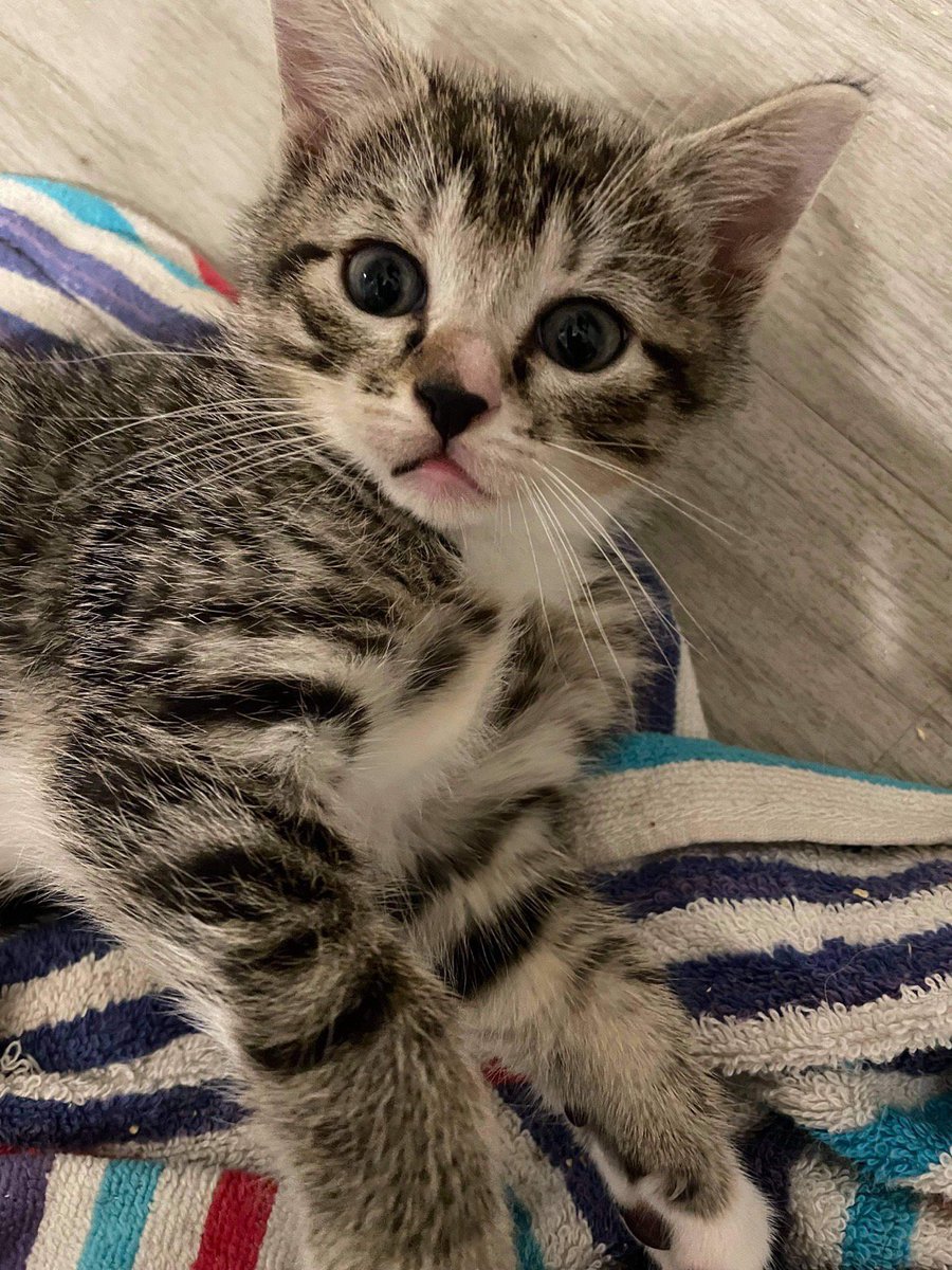 v a l e r i e ☆ tweet media