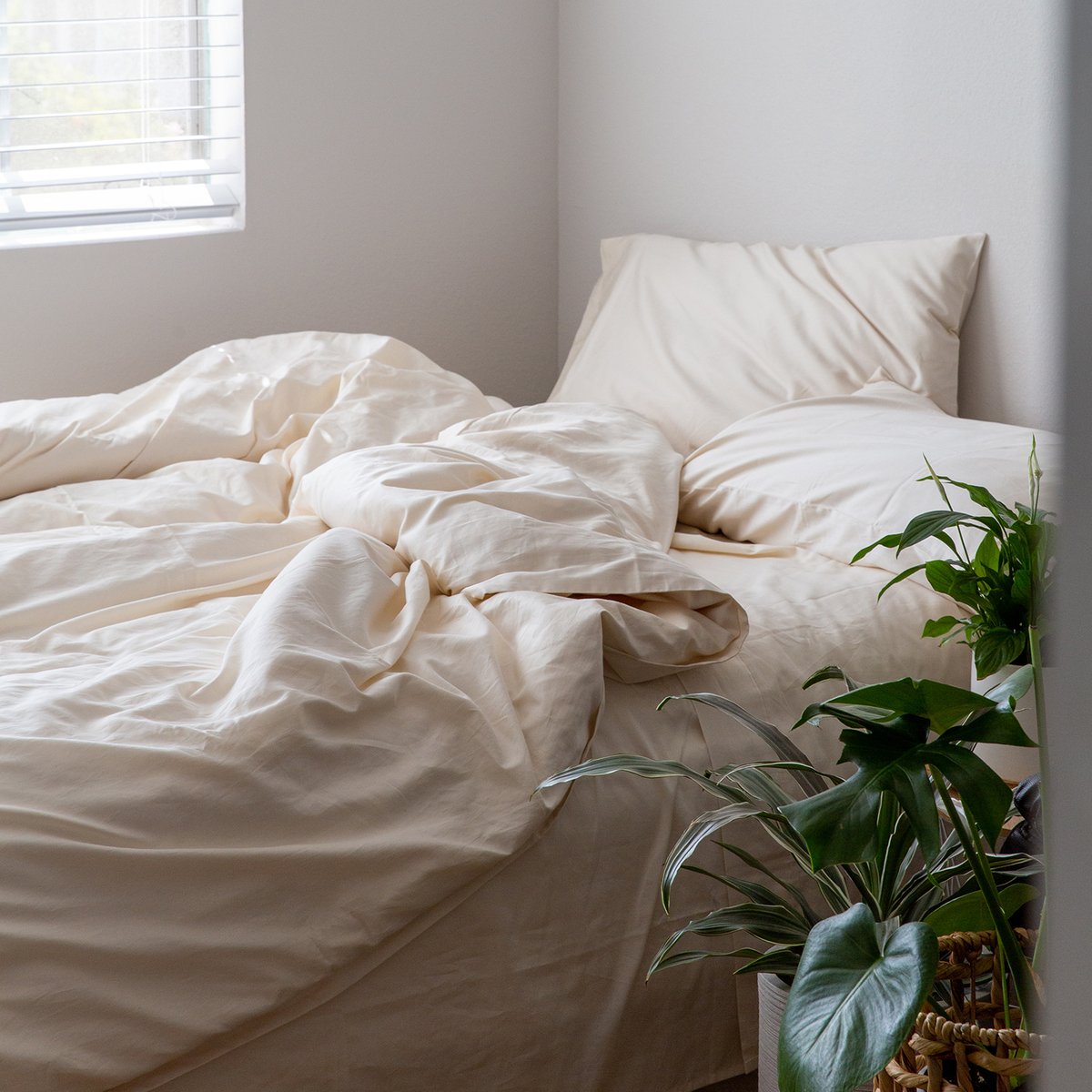 SLEEP & BEYOND tweet media