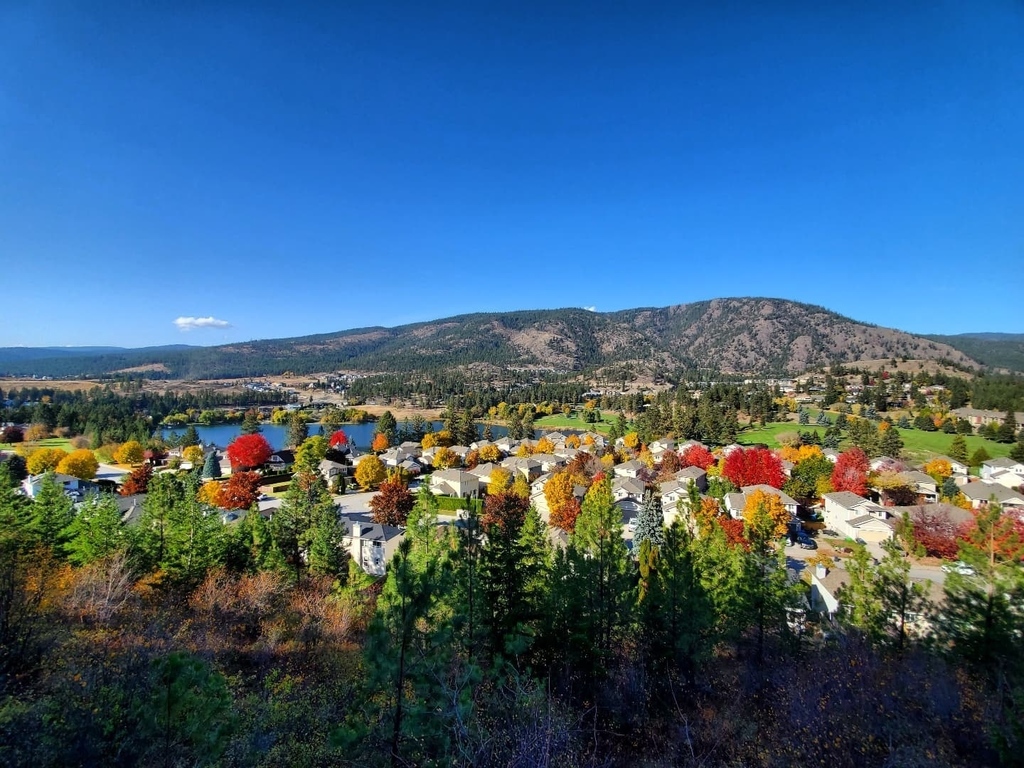 VisitWestside's tweet photo. Mother Nature is putting on a show for us. Check out these fall colours! 😍⁠
⁠
Thank you for sharing this capture with us @jasonpettyjohn!⁠
.⁠
.⁠
#VisitWestside #WestKelowna #fall #fallcolours #autumn #leaveschanging #exploreokanagan #explorebc #e… https://t.co/EE3j37azNS https://t.co/dMWDrXQm89