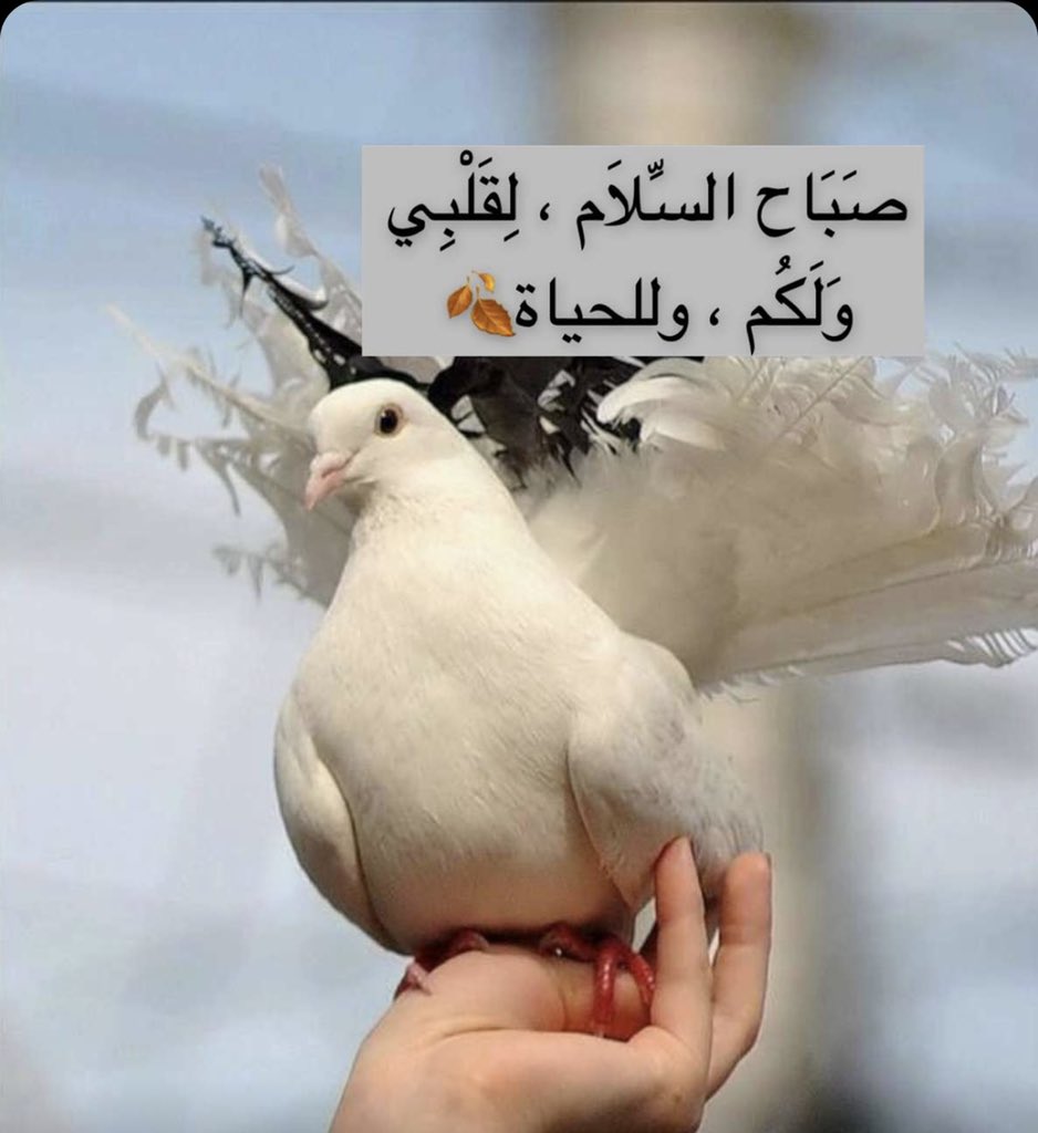 1099_aaaa's tweet photo. #لانك_ولدنا_تستاهل https://t.co/fVbqURSkaS