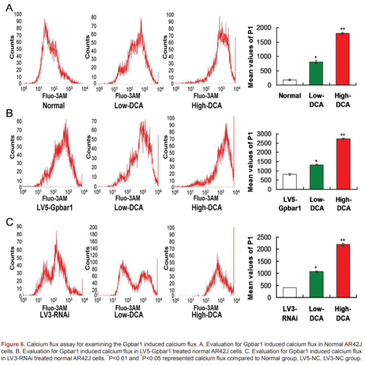 Landmark_IMR's tweet photo. Welcome to read the paper in Frontiers in Bioscience-Landmark:
Qingyi Decoction amerliorates acute biliary pancreatitis by targeting Gpbar1/NF-kb pathway, by Gui-xin Zhang

#Pancreatitis #NF_kB #cell_signaling #bile_duct
#deoxycholic_acid_sodium_salt #DCA  #basic_research https://t.co/AFvR6f6u2U
