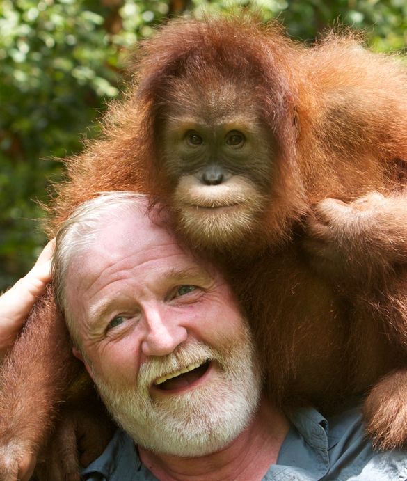 PalmOilDetect's tweet image. "Ask yourself what's more important, cheap biscuits and face cream? Or the survival of the most diverse and complex habitat on earth? I support the #Boycottpalmoil #Boycott4Wildlife movement" @BBC presenter/entomologist @Georgecmcgavin palmoildetectives.com/2021/10/18/entโฆ via @palmoildetect