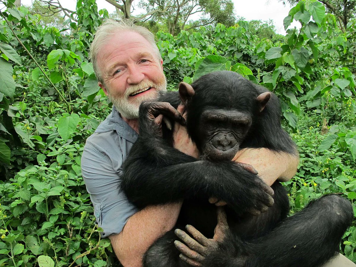 'Ask yourself what's more important, cheap biscuits and face cream? Or the survival of the most diverse and complex habitat on earth? I support the #Boycottpalmoil #Boycott4Wildlife movement' @BBC presenter/entomologist @Georgecmcgavin palmoildetectives.com/2021/10/18/ent… via @palmoildetect