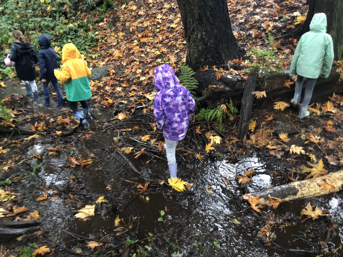 Devon Lefeaux tweet media