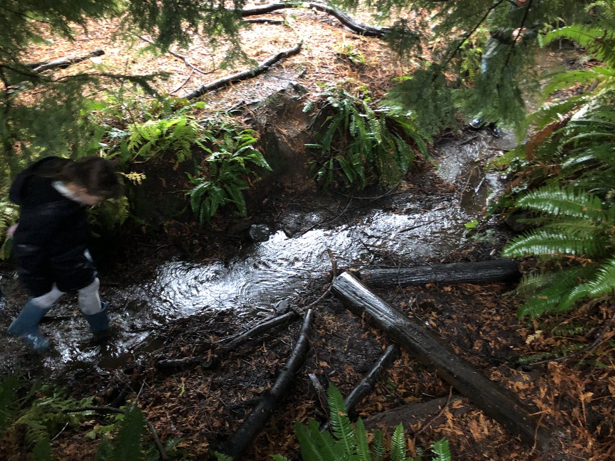 Devon Lefeaux tweet media