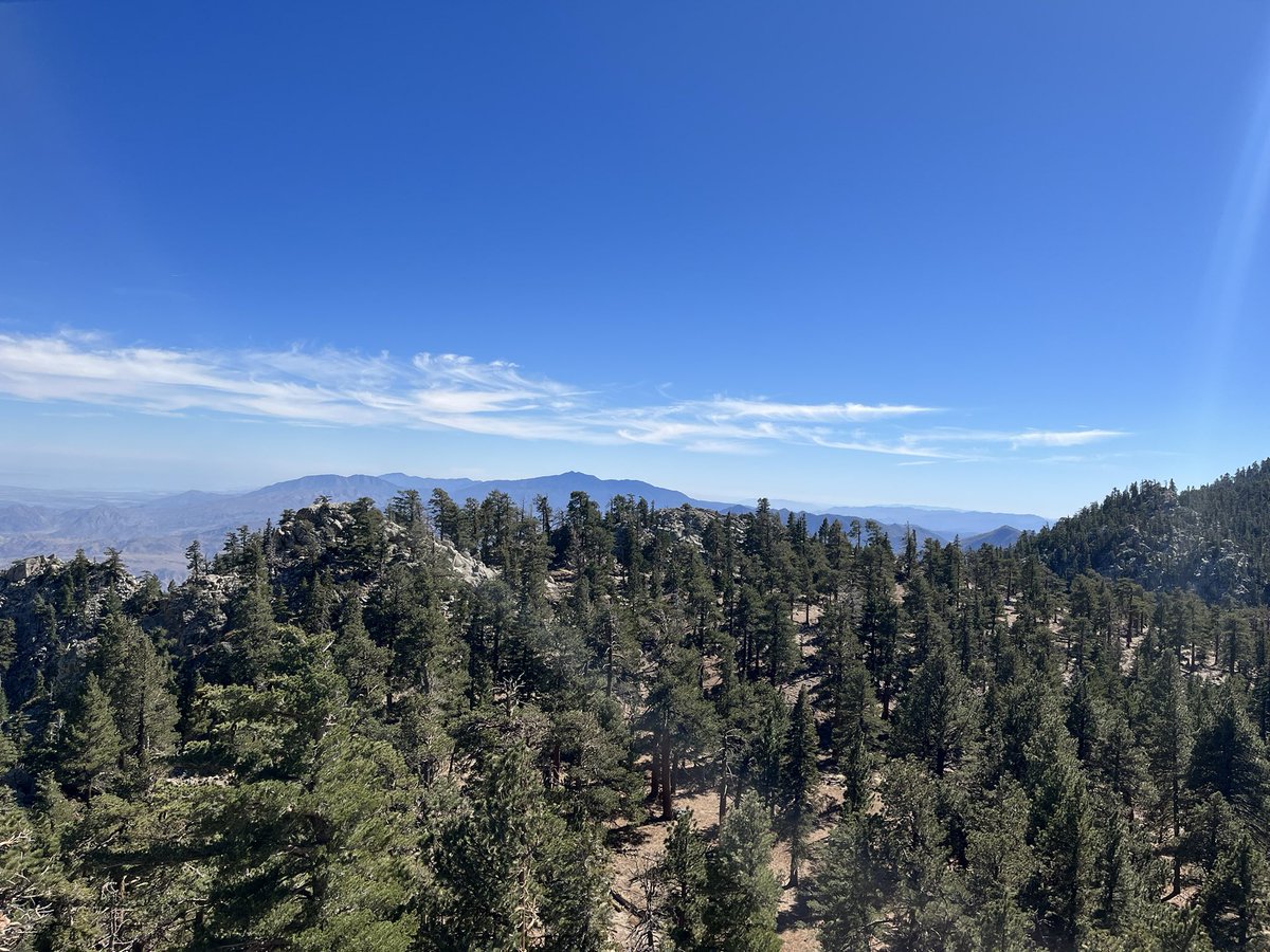 LisaAlterKrule's tweet photo. Ah - fresh mountain air &amp; some real R &amp; R! Appreciating the gift of nature. #palmsprings #aerialtramway https://t.co/Qt1UpOSAkS