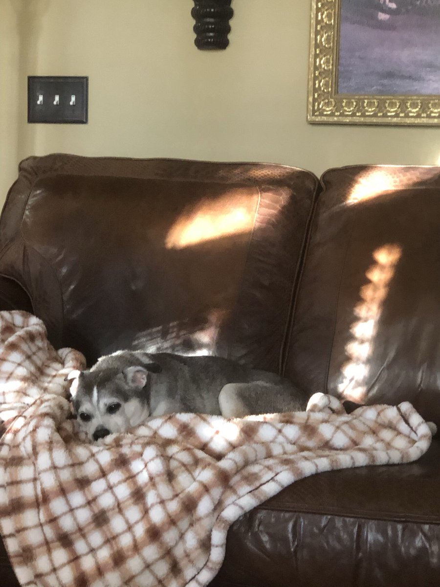 GUS 🌈 tweet media