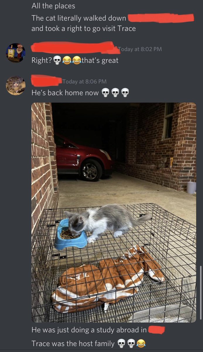 LoganB_98's tweet photo. A cat my friend found ran away to our other friend’s house, what’re the odds…😂 https://t.co/BQlPXc7yBe