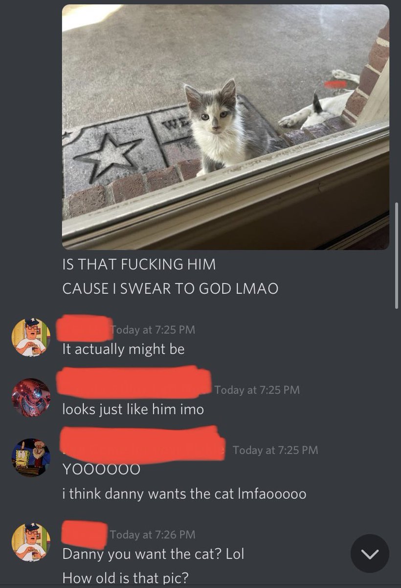 LoganB_98's tweet photo. A cat my friend found ran away to our other friend’s house, what’re the odds…😂 https://t.co/BQlPXc7yBe