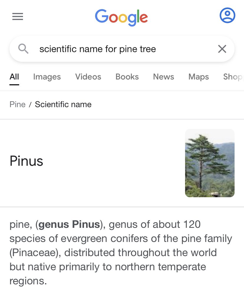 PoppaFlo941's tweet photo. Genus Pinus… im done😂😭😂 #Thanglong https://t.co/GReE1X8wbT