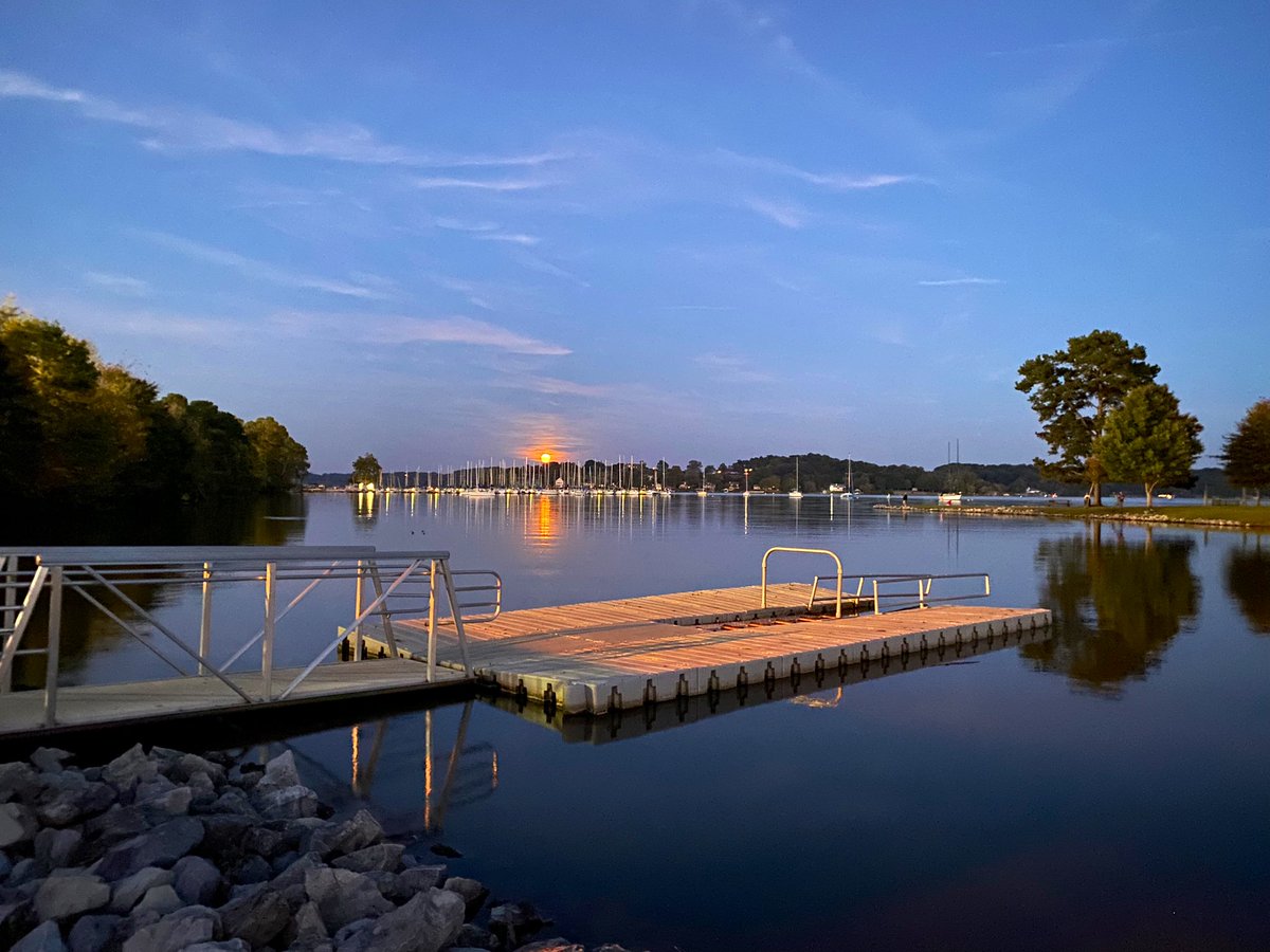 timrobotics's tweet image. 