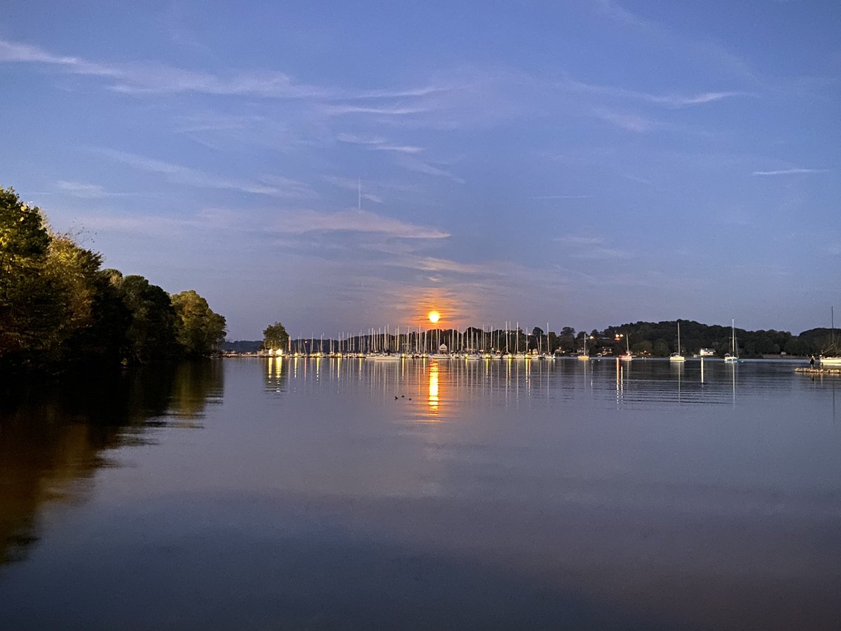 timrobotics's tweet image. 